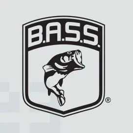 Bass 02